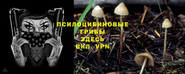 a pvp Вяземский