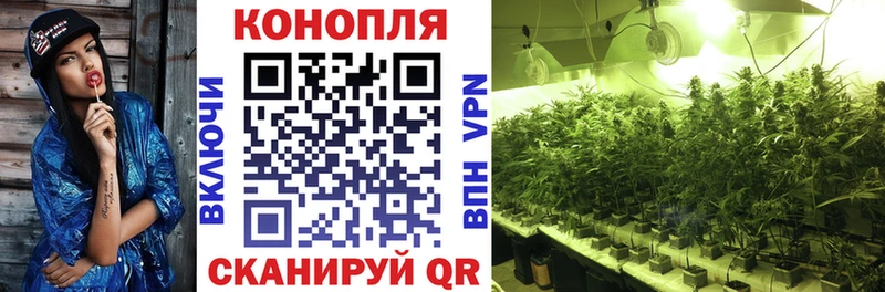 купить  сайты  Павловская  Марихуана OG Kush 
